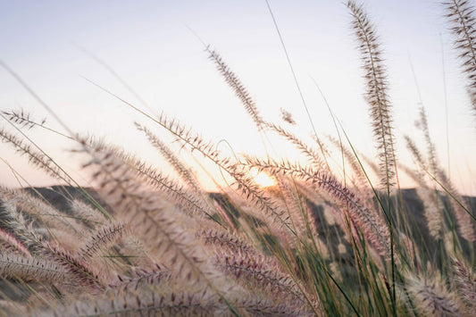 arid natural landscape photography	